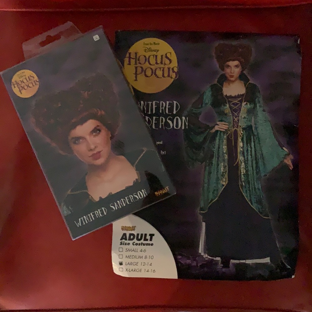 Hocus Pocus Winifred Sanderson costume